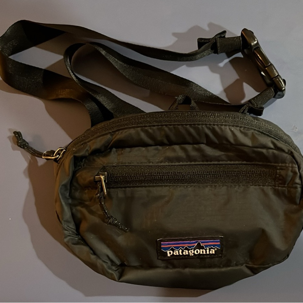 Patagonia Fanny pack